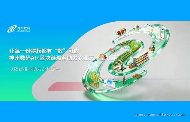 单电机 vs 双电机四驱:买菜代步有必要多花2万吗?